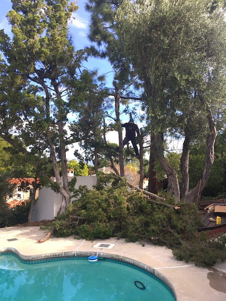 Whipping our pool terrace in shape!